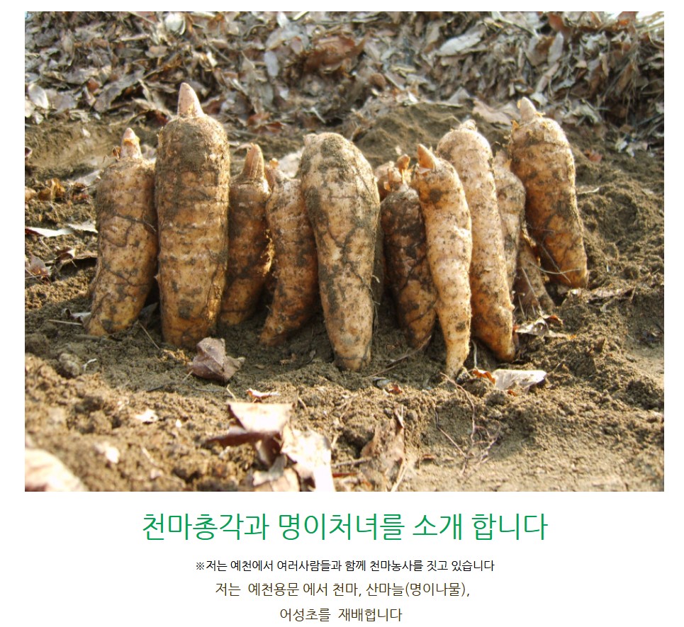 상세 이미지