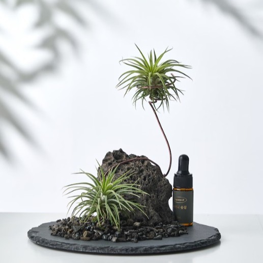 [스텀에이치] 스톤디퓨저 