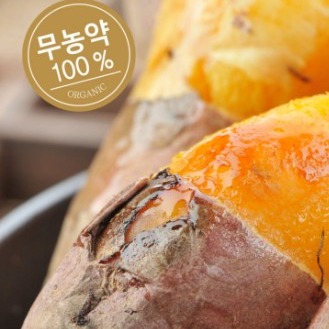 [기대이상] 호박고구마