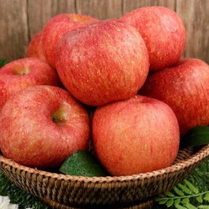 [디투디] 부사사과