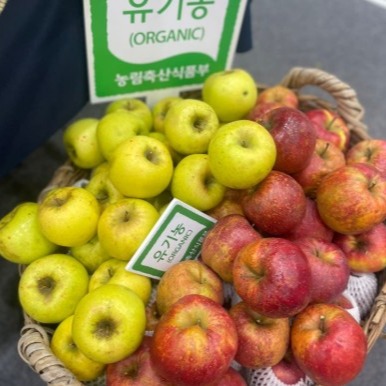 [골든힐농원] 태백 유기농 사과