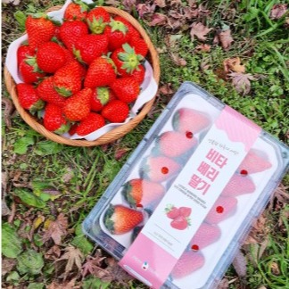 [하뚜리딸기농장] 신선한 비타베리 딸기