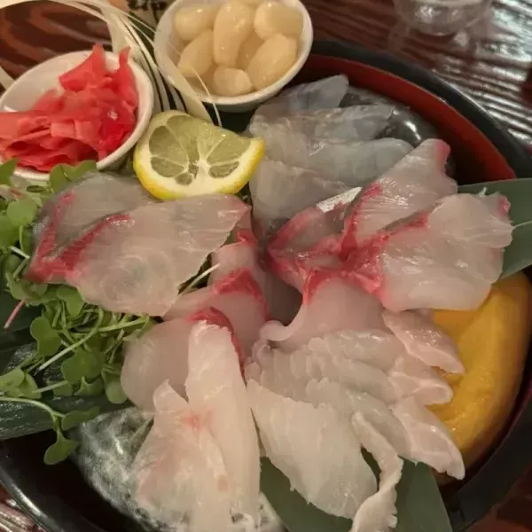 [서울 마포][릴스] 이자캬야 고도리