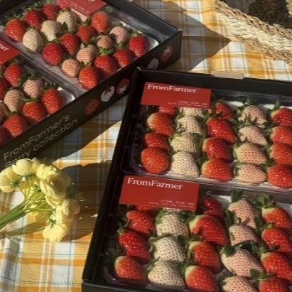 [프롬 파머] 농장직송 고당도  딸기