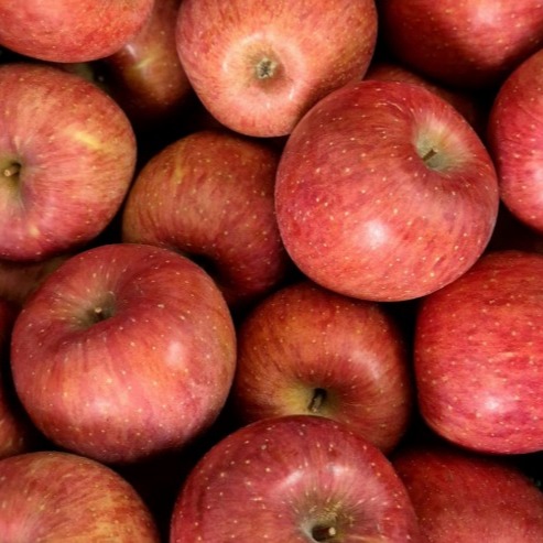 [갓딴마켓] 청송부사