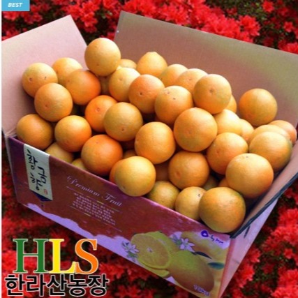 [한라산농장] 한라산농장 조생 귤