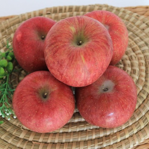 [뜬바우골사과] 부사