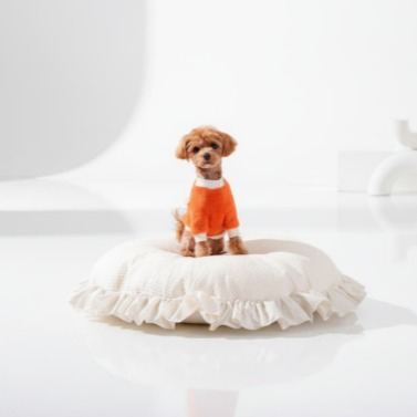 [펫퀸] 순면 피그먼트 강아지 방석