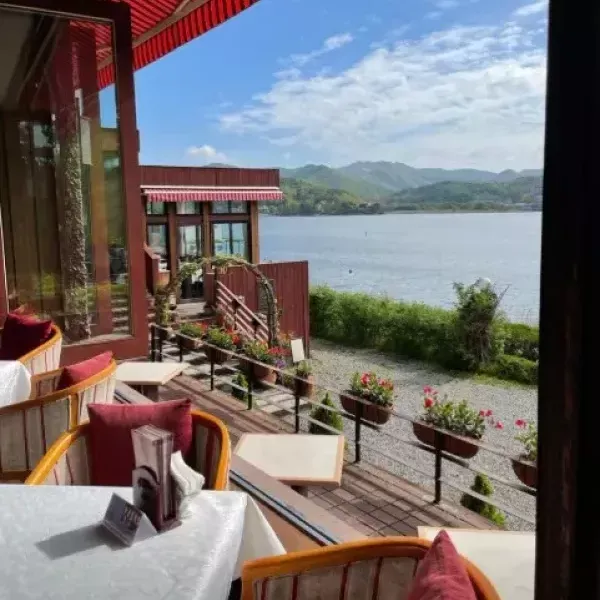 [경기 남양주] 왈츠와 닥터만