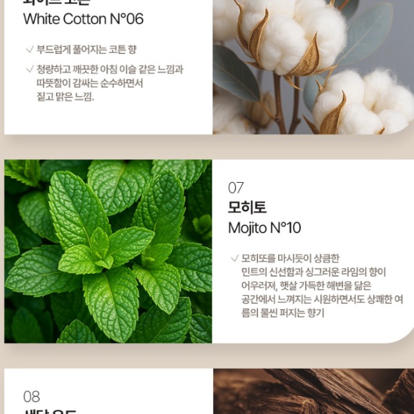 [비오엘]차량용 방향제 디퓨저