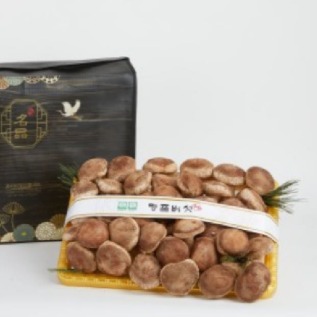 [아침뜰 포천 송화버섯] 송화버섯 선물세트