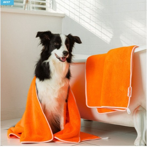 [티모씨네] 오렌지 강아지 고양이 극세사 수건