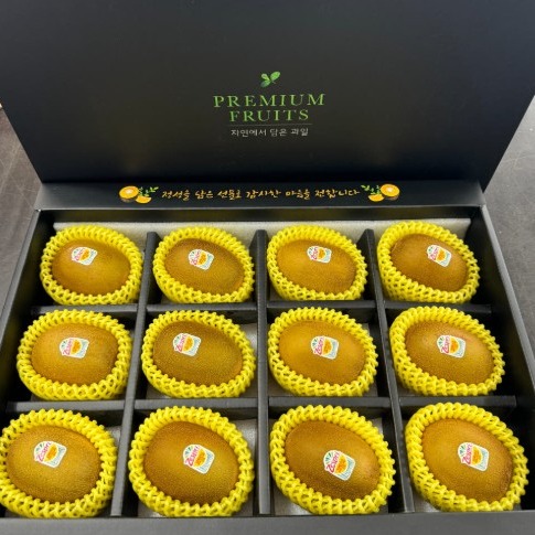 [갓담아] 골드키위 선물세트