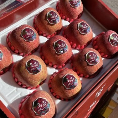 [수완사과] 청송사과 선물세트