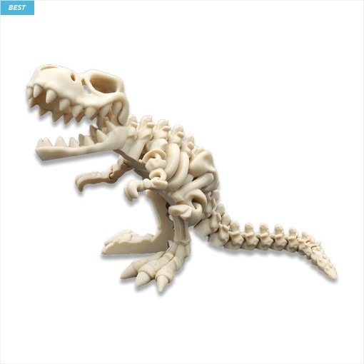 [Barikiyo] 관절 스켈레톤 공룡 피규어