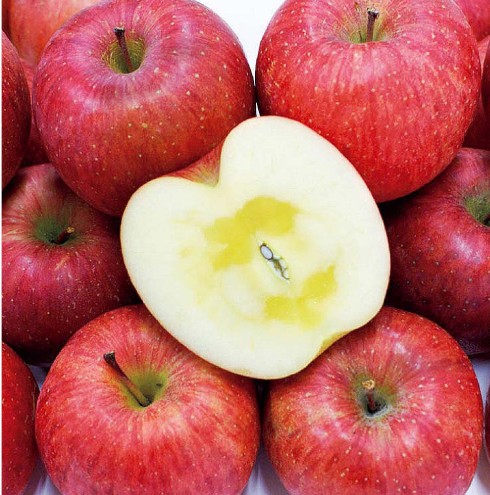 [동동농수산스토어] 부사사과