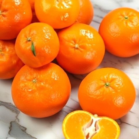 [달보드레담] 고당도 제주 레드향 2.5KG