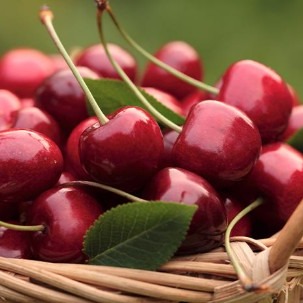 [이모네구멍가게] 다이아몬드 체리