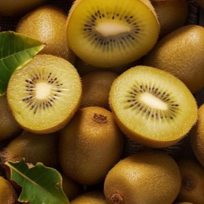 [키위삼촌] 국산 골드키위&참다래