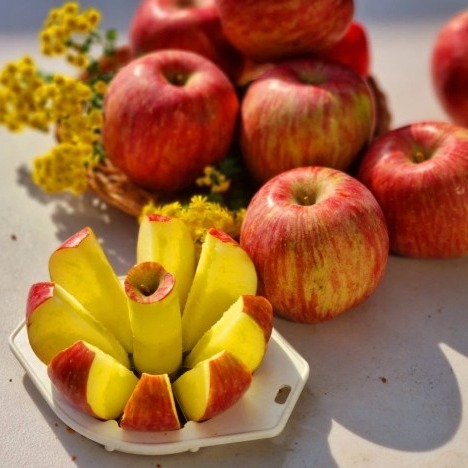 [따숨농장] GAP인증 부사 대과