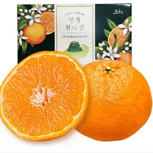 [서초풍성원] 제주산 프리미엄 천혜향 선물세트