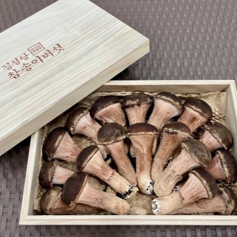 [경성당참송이농원] 참송이버섯 선물세트