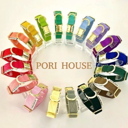 [포리하우스] 강아지산책목줄 0차