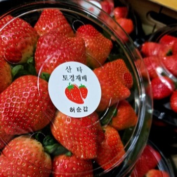 [푸드킹 도르리] 딸기