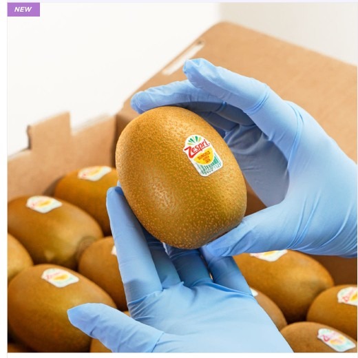 [맛킹] 골드키위