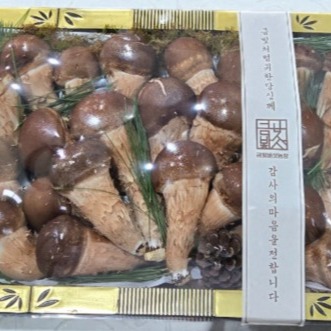 [금빛버섯농장] 참송이버섯 선물세트 0차