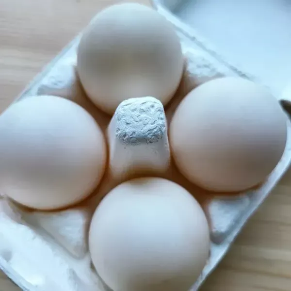 [구매평][낭만기러기] 거위알초란