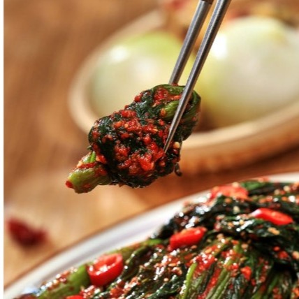 [소셜바이오 팜스락] 돌산 삼채 갓김치 0차