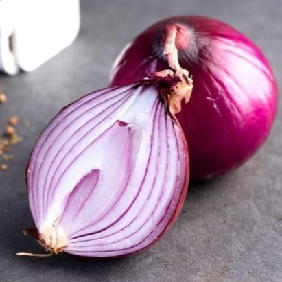 [와송양파] 자색양파 0차