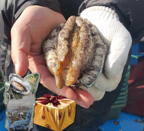 [완도전복주식회사] 완도전복 0차