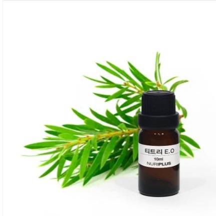 [자연미인닷컴] 티트리 아로마오일