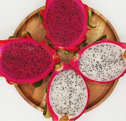 [더노랑] 더노랑 속이흰 용과 또는 속이 빨간 적용과 0차