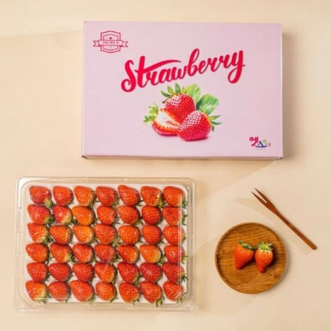 [Marbella] 논산 설향 생딸기 0차