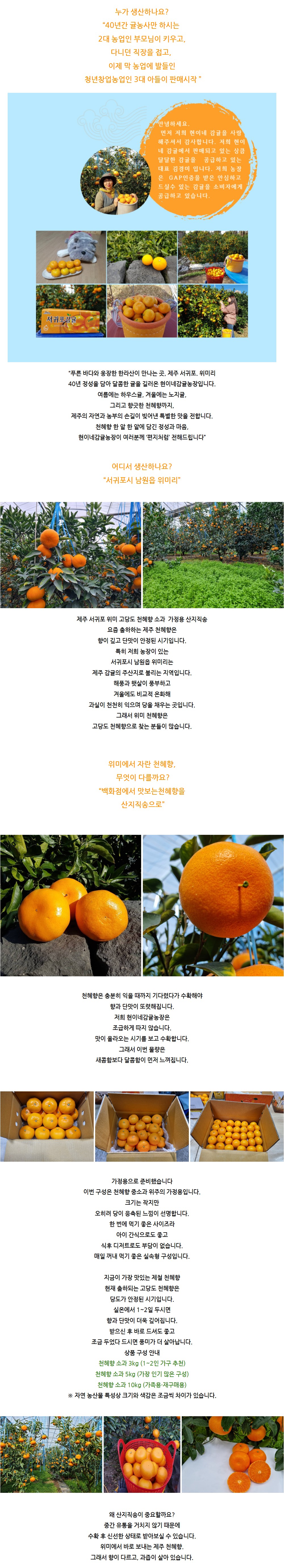 상세 이미지