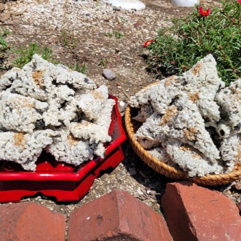 [늘이네 김부각] 김부각 0차