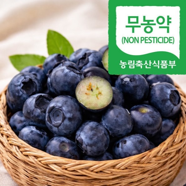 [자연마을] 무농약 블루베리 특품