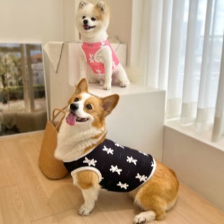 [끌레느꼼앤] 구름토끼 세미크롭 반려견 이지티