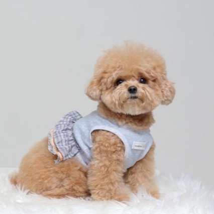 [아라떼몰라떼]난닝구 강아지 나시 티 