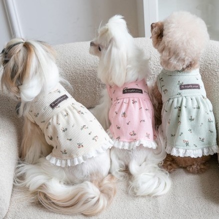 [오렌지 원] 코튼 강아지 잔꽃 원피스