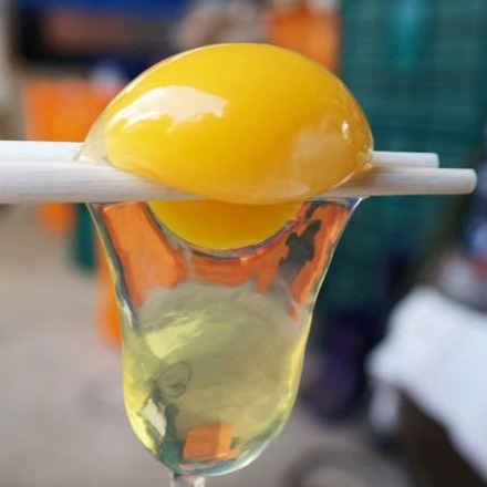 [유정란 등고개달걀농장] 무항생제 계란 20구