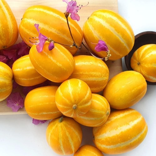 [The달달] 국내산 산지직송 성주 꿀 참외