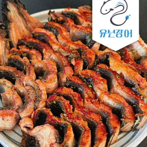 [유선장어] 민물장어 0차