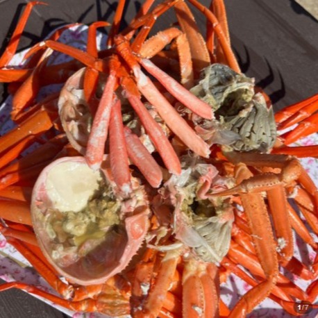 [알로하 스토어]  독도홍게 자숙 B급 3kg 홍개 