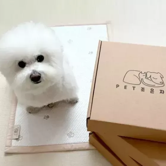 [영메디칼바이오] 펫조은자리 듀라론 반려동물 쿨매트