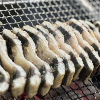 [원장어] 손질 민물장어