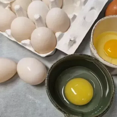 [클립][낭만기러기] 기러기보양란